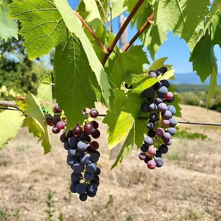 Pevoni - 1 Bed With Stunning Tuscan Views 아파트 *