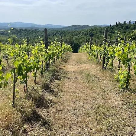 Διαμέρισμα Pevoni - 1 Bed With Stunning Tuscan Views *
