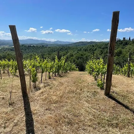 아파트 Pevoni - 1 Bed With Stunning Tuscan Views 앙기아리